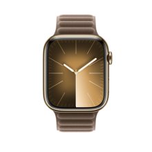 Apple Watch 45mm Taupe Magnetic Link - M/L