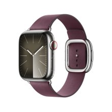 Apple Watch 41mm Mulberry Modern Buckle - Small